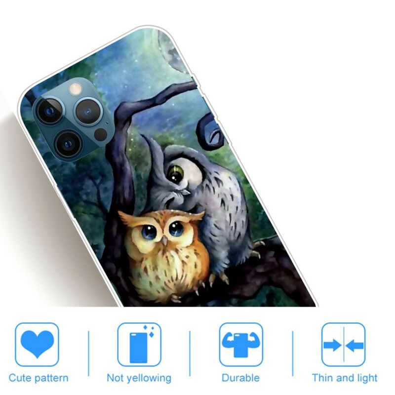 Hoesje iPhone 13 Pro Max Uilen Schilderen