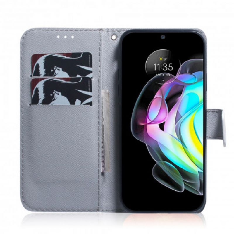 Flip Case Leren Motorola Edge 20 Schilderij Van Uilen