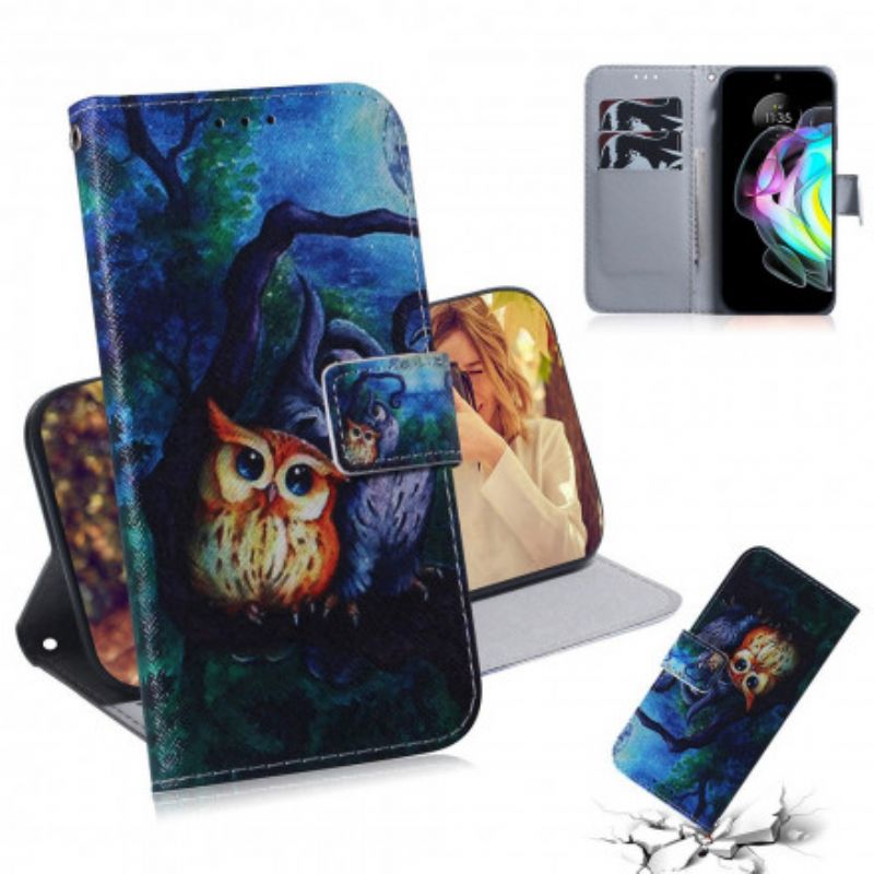 Flip Case Leren Motorola Edge 20 Schilderij Van Uilen