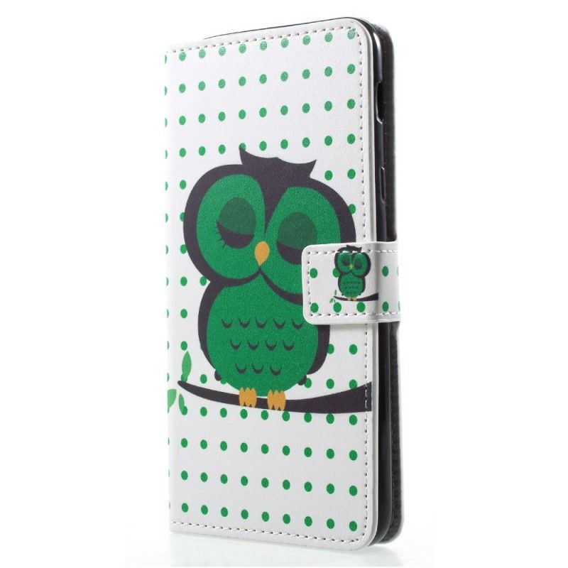 Cover Folio-hoesje Samsung Galaxy A6 Telefoonhoesje Slapende Uil