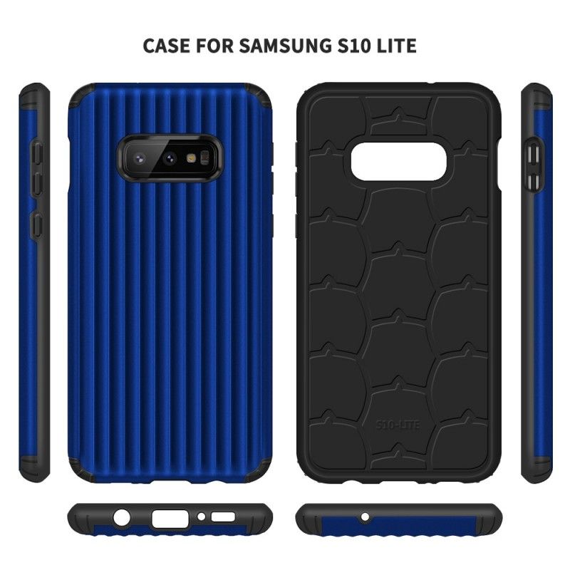 Hoesje voor Samsung Galaxy S10e Koolstofvezel Koffer