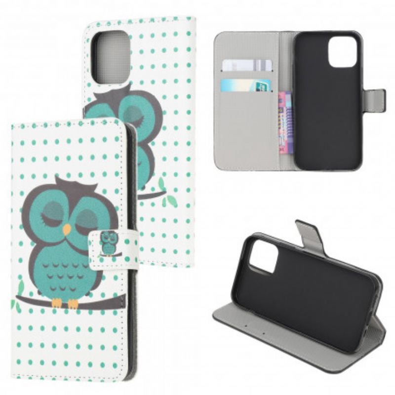 Folio-hoesje Xiaomi Mi 11 Lite 5g Ne / Mi 11 Lite 4g / 5g Telefoonhoesje Slapende Uil