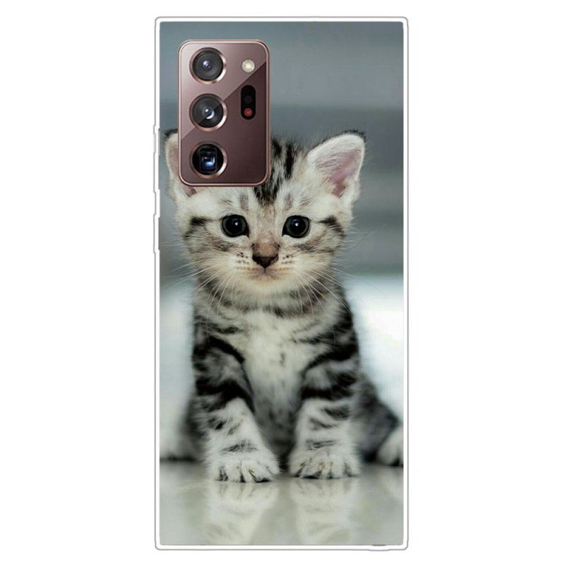 Hoesje voor Samsung Galaxy Note 20 Ultra Kitten Kitten