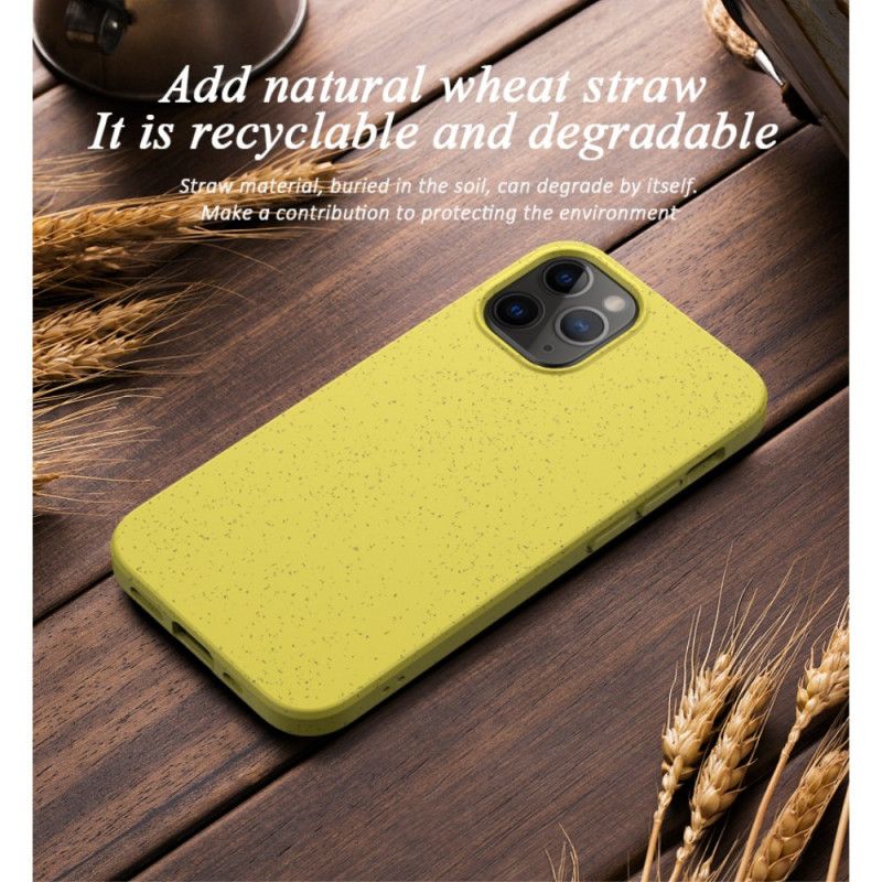 Hoesje iPhone 12 Pro Max Rood Zwart Ontwerp Van Tarwestro