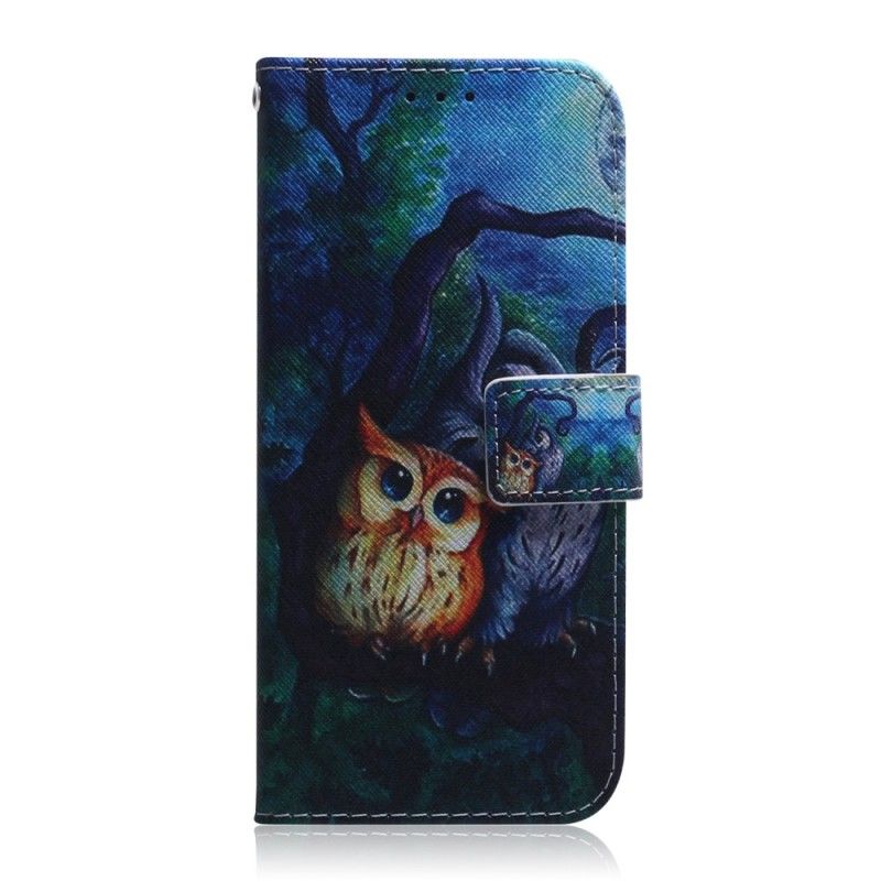 Leren Hoesje voor Samsung Galaxy A40 Uil Schilderij
