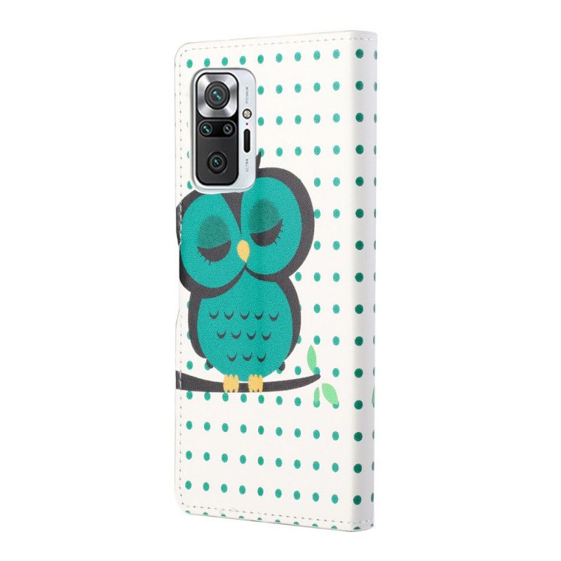 Bescherming Hoesje Xiaomi Redmi Note 10 Pro Telefoonhoesje Slapende Uil
