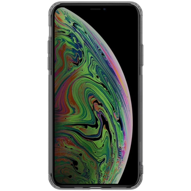 Hoesje voor iPhone 11 Pro Transparant Grijs Transparant Nillkin