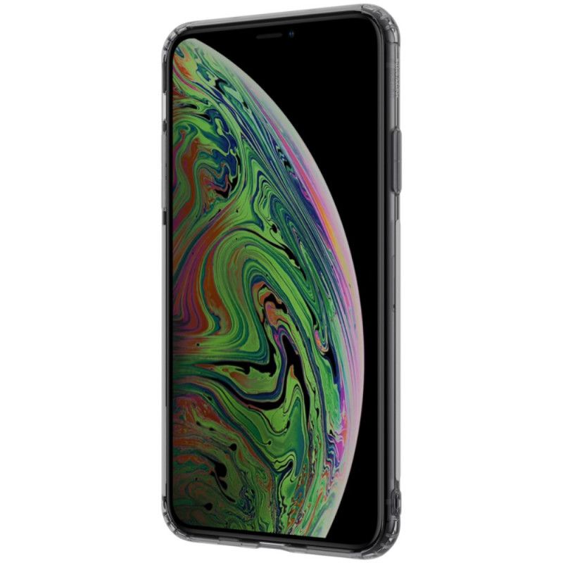 Hoesje voor iPhone 11 Pro Transparant Grijs Transparant Nillkin