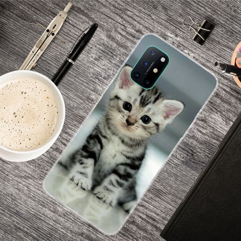 Hoesje voor OnePlus 8T Kitten Kitten