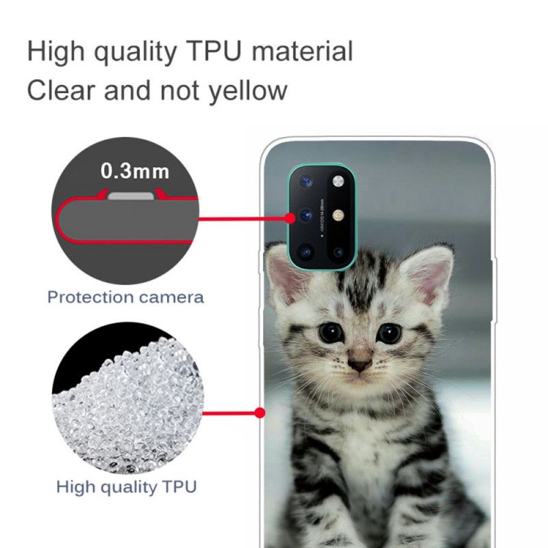 Hoesje voor OnePlus 8T Kitten Kitten