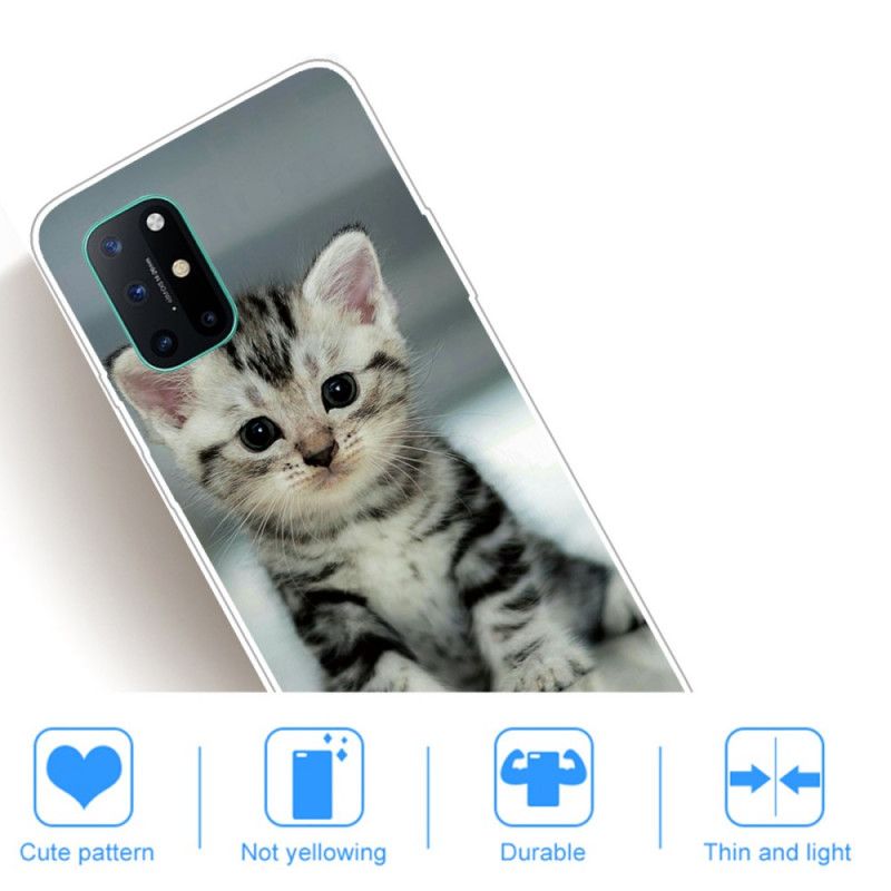 Hoesje voor OnePlus 8T Kitten Kitten