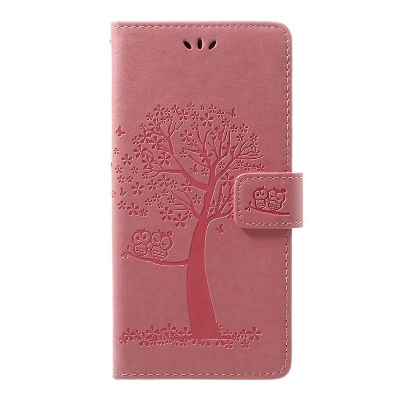Roze