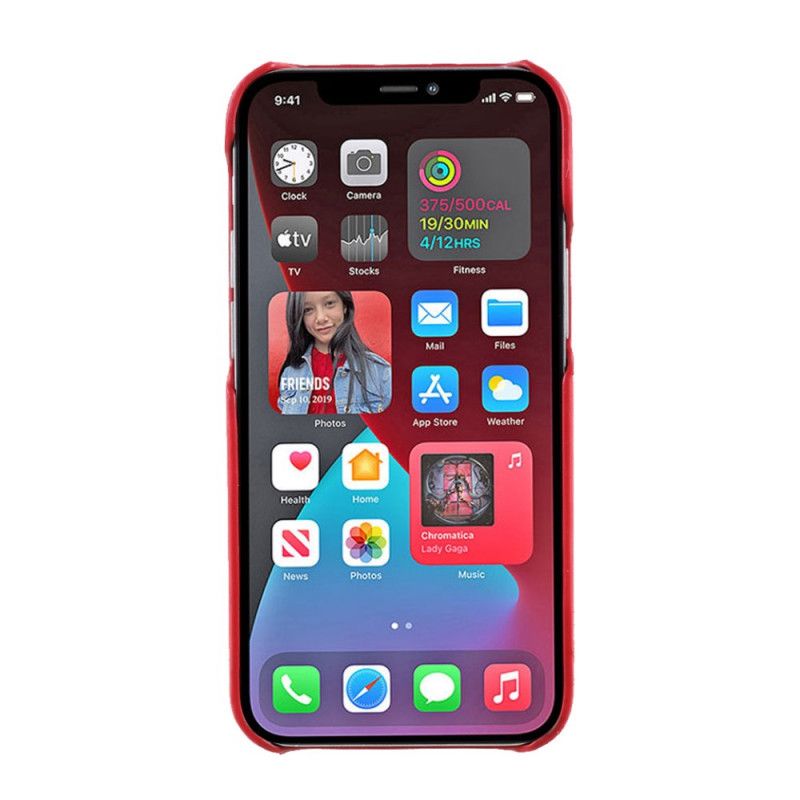 Case Hoesje iPhone 12 Mini Rood Zwart Telefoonhoesje Gemeenschappelijke Kaarthouder