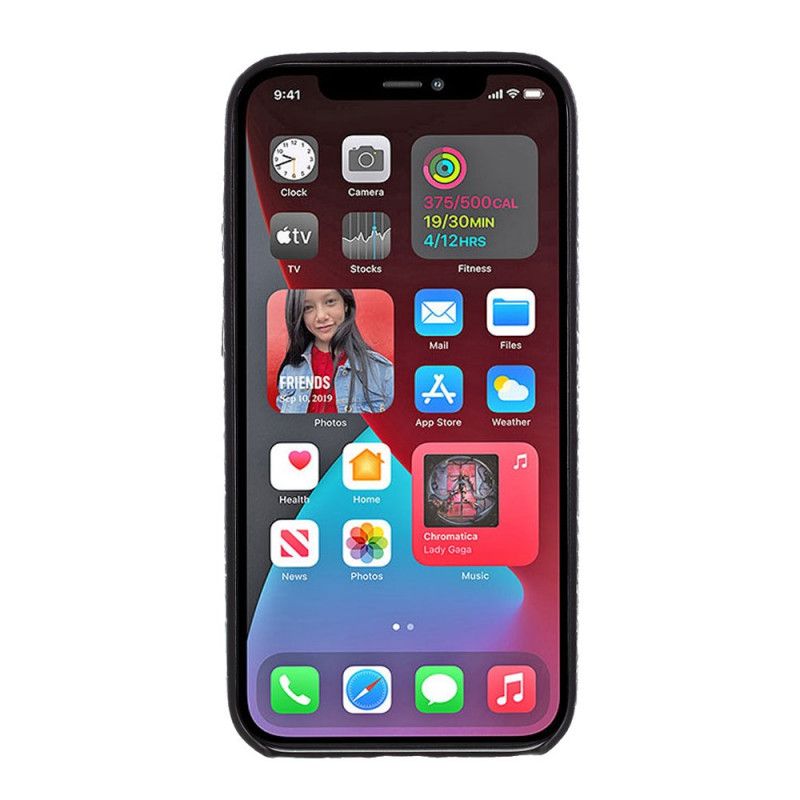 Hoesje iPhone 12 Mini Groen Zwart Slangenleereffect