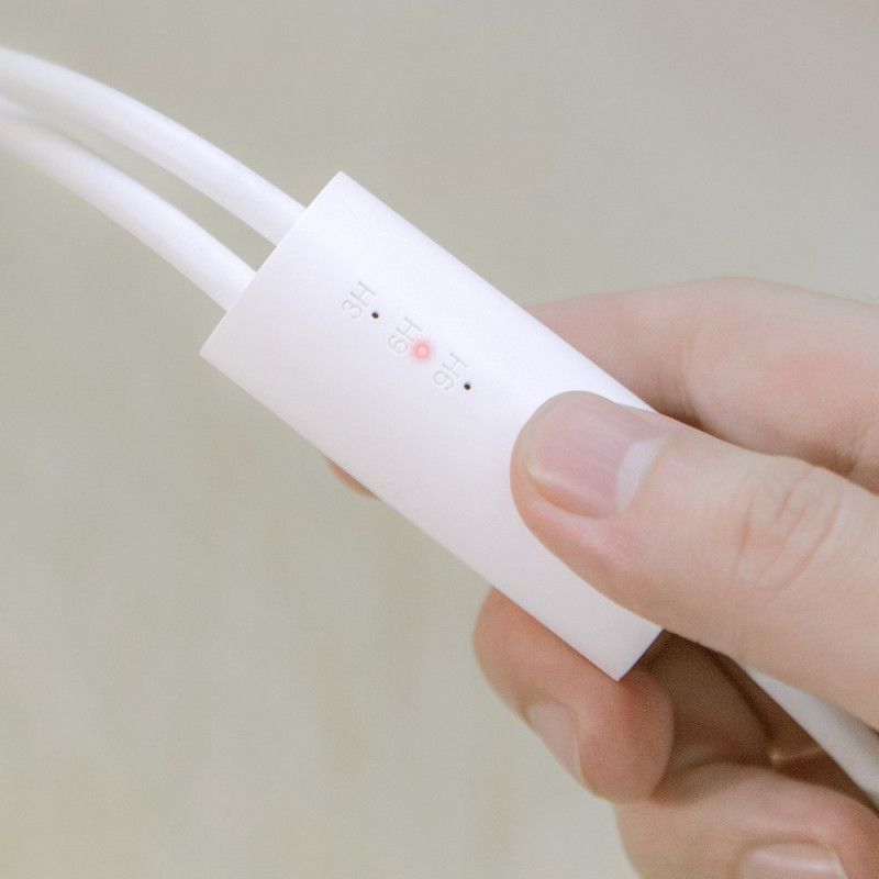 Youpin Xiaomi Schoenontvochtiger