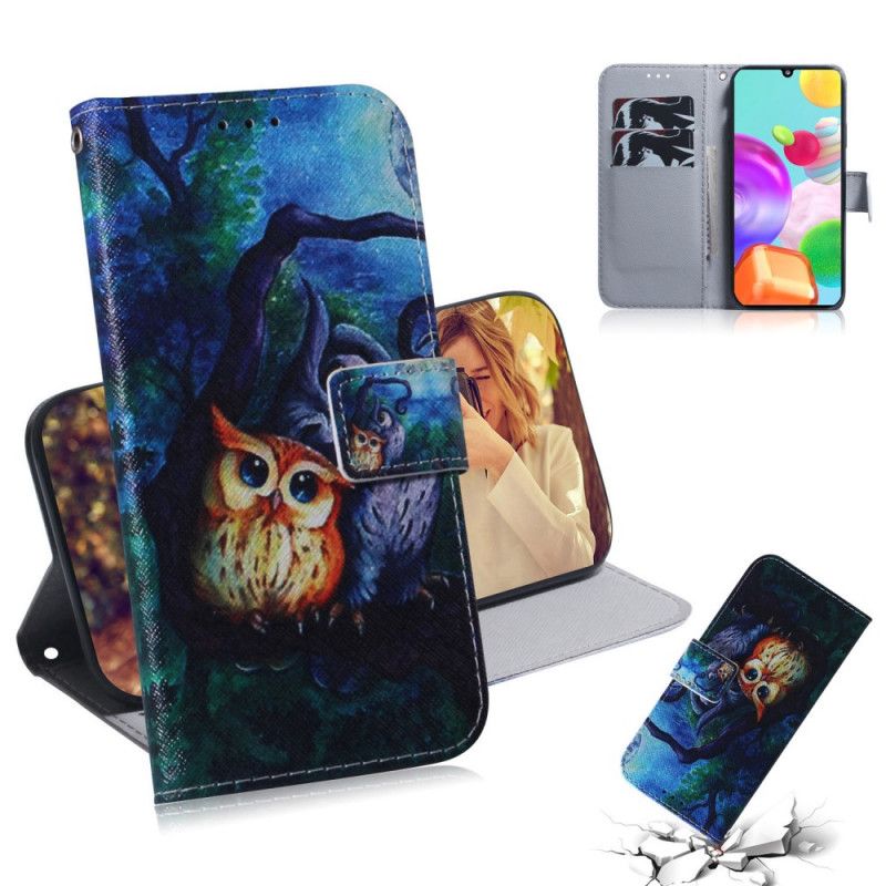 Cover Folio-hoesje Samsung Galaxy A41 Telefoonhoesje Uil Schilderij