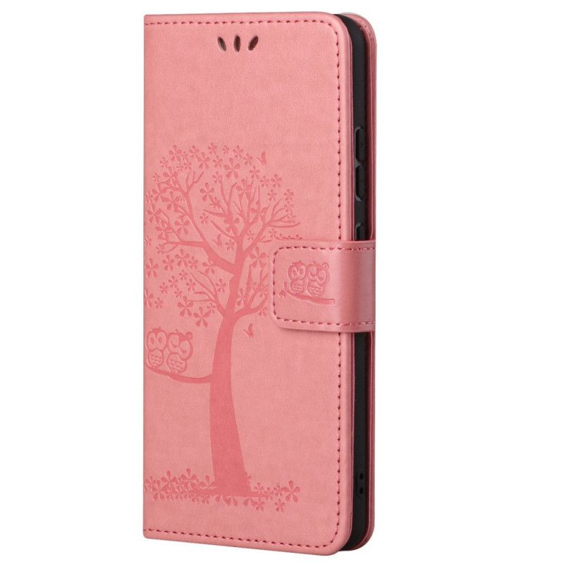 Roze