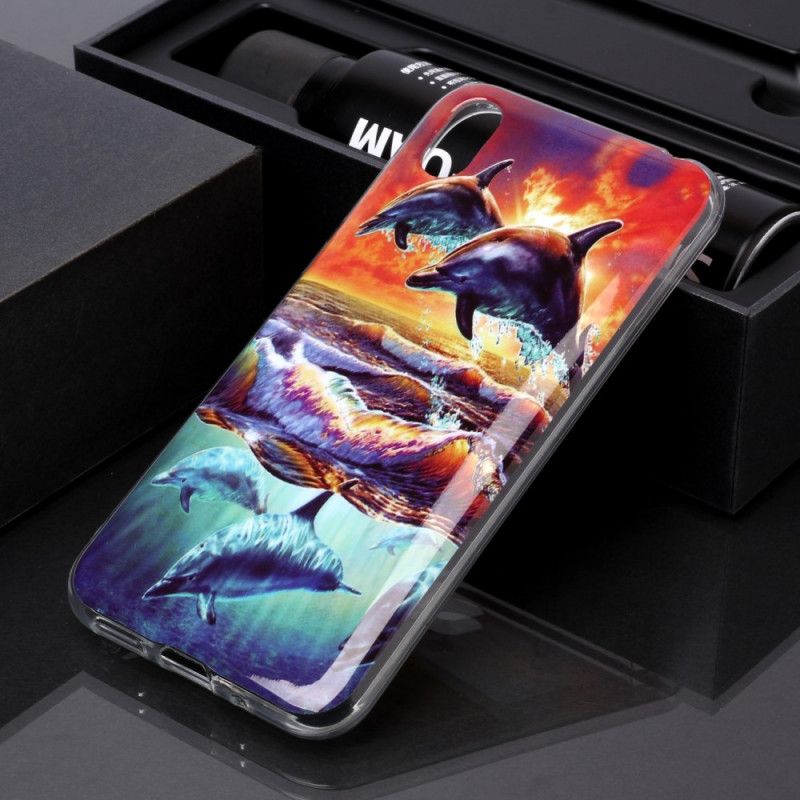 Case Hoesje Huawei Y5 2019 Telefoonhoesje Dolfijnen In Het Wild