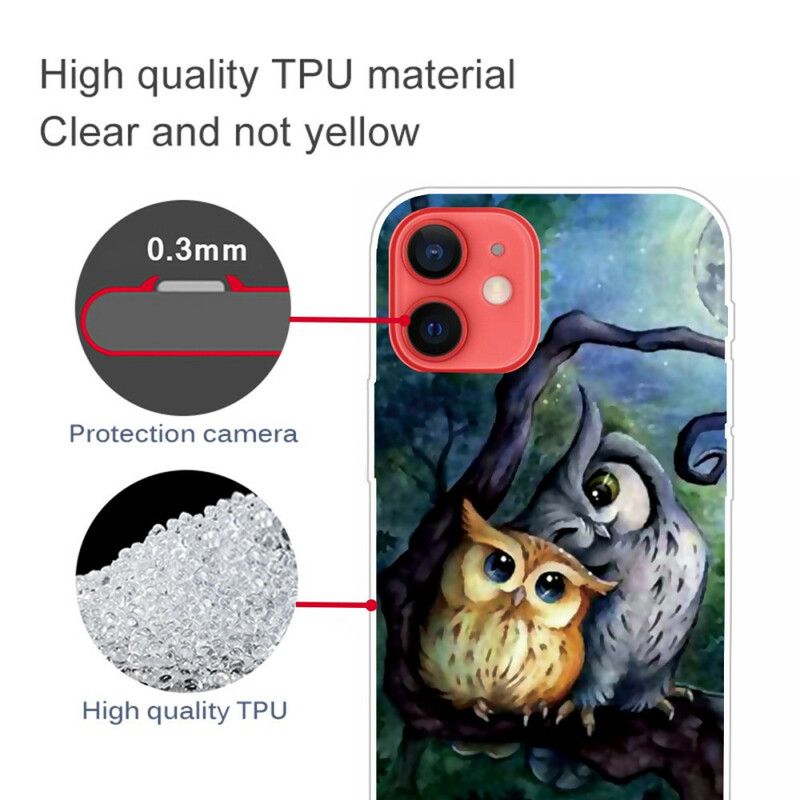 Hoesje iPhone 13 Mini Uilen Schilderen