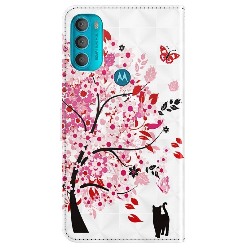 Folio-hoesje voor Moto G71 5G Roze Boom En Zwarte Kat